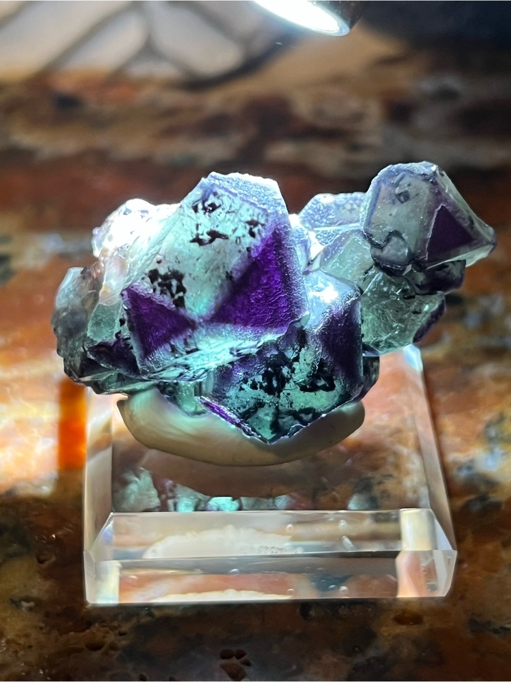 GORGEOUS Okorusu Fluorite